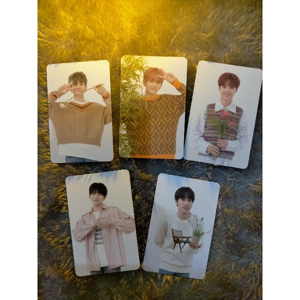 PC AR Treasure Members