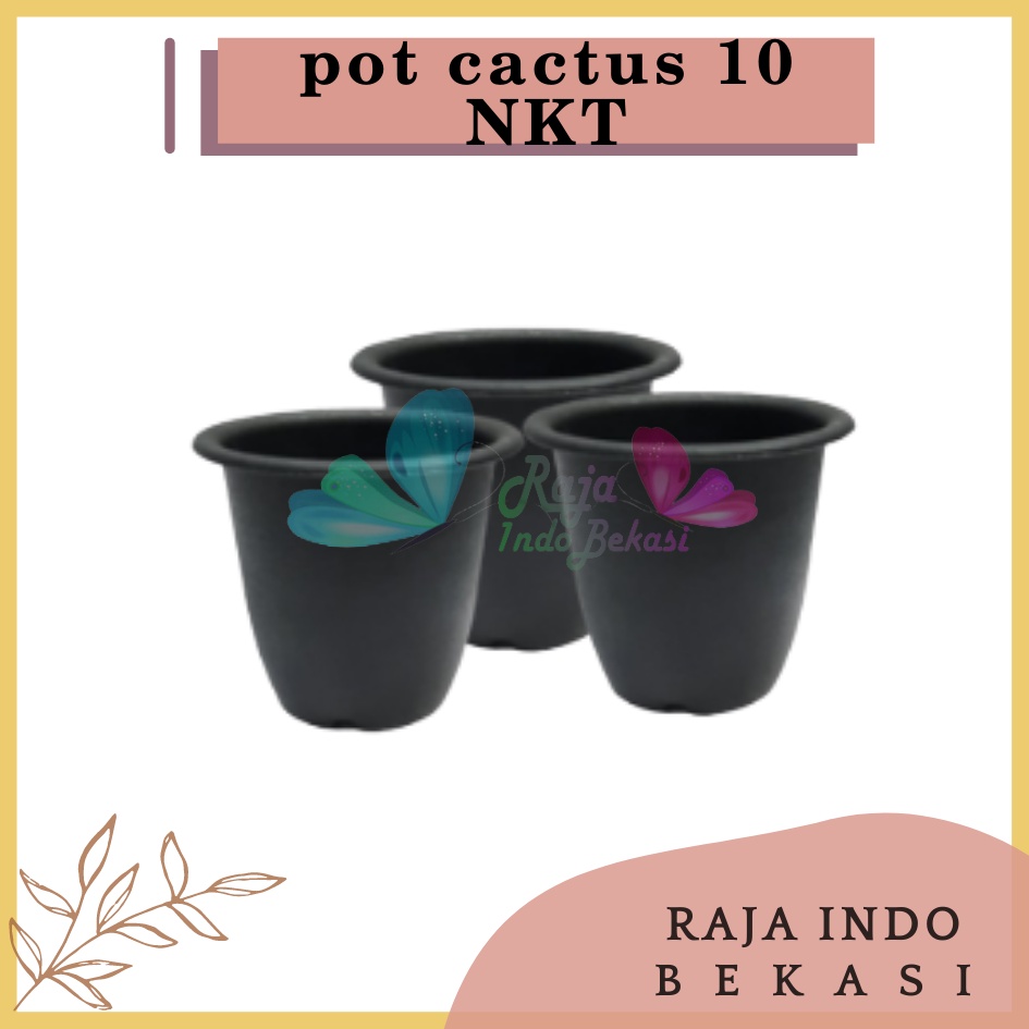 Pot Kaktus Nkt 10 Hitam Black Pot Cactus Nkt 10 Cm Black Hitam Pot Plastik Pink Bibit Kaktus Hitam