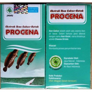 PROCENA Ekstrak Ikan Gabus Kutuk