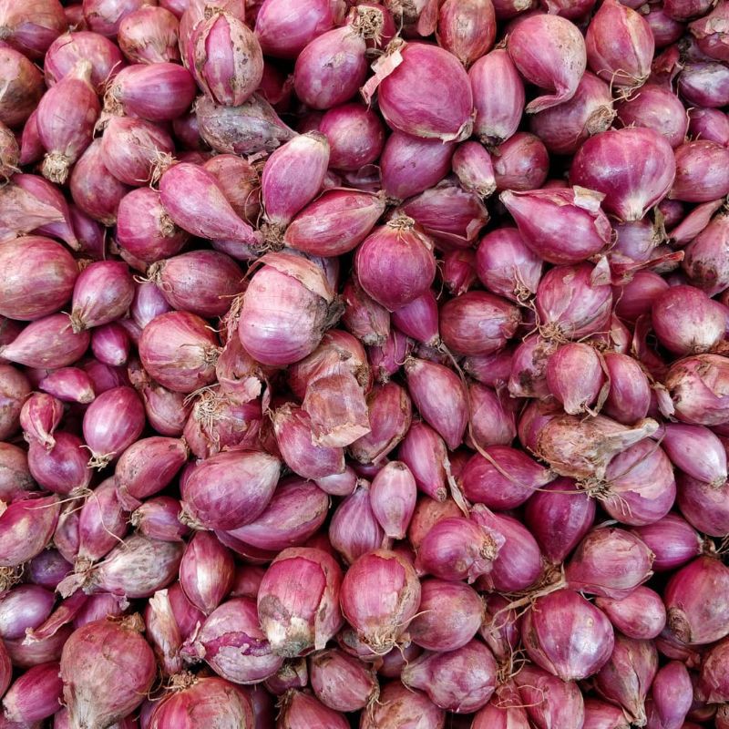 

bawang merah