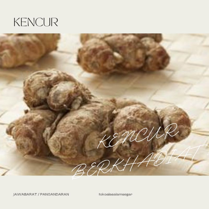 

Kencur 100 gram.