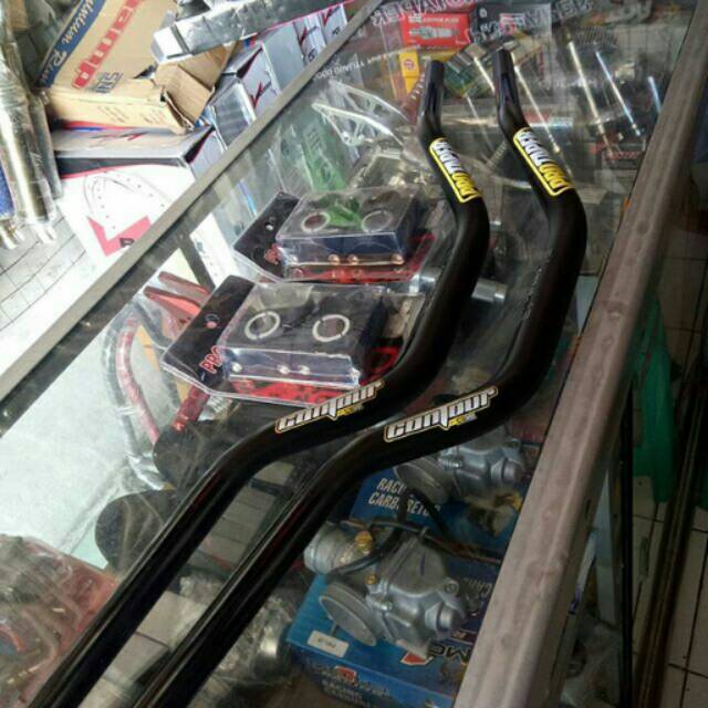 Stang Fatbar Protaper + Riser