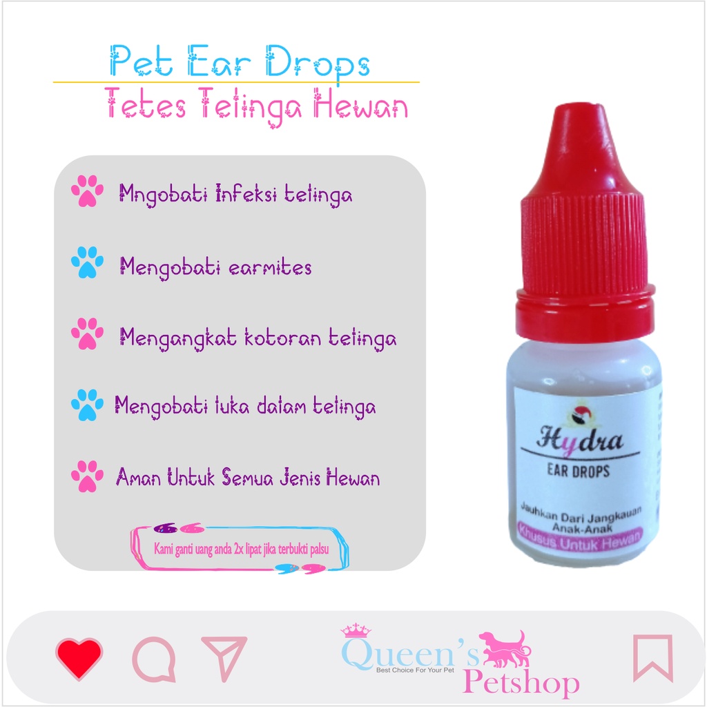 Obat Tetes Telinga Hydra-Infeksi-Jamur Telinga Hewan Kucing Anjing