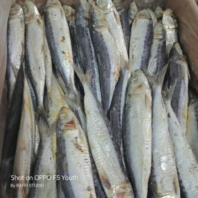 

Ikan asin japu