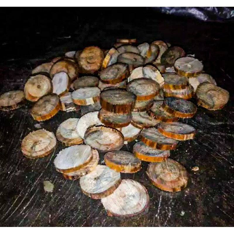Kayu bulat untuk bonsai aquascape.
