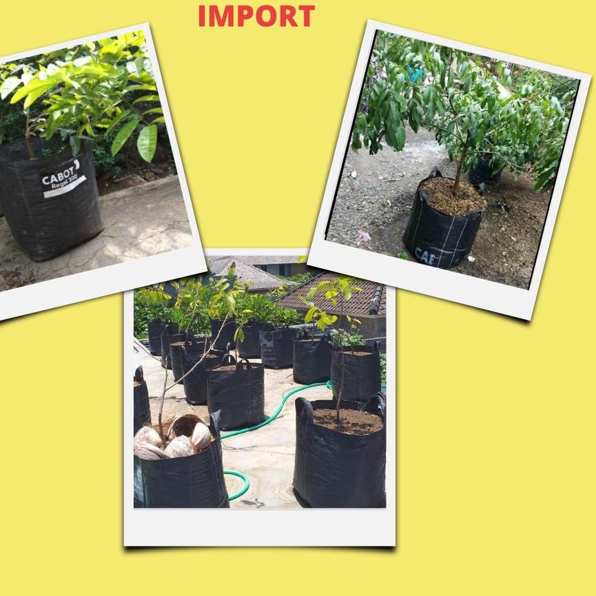 ⚡TOK SIAP 【COD】 Pot Tanaman Planter Bag 200 Liter Grosir untuk Tanaman Besar Tabulampot harga bersai