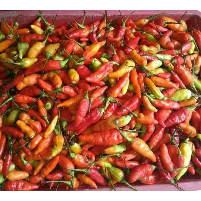 

Cabe Rawit / 0,25 Kg