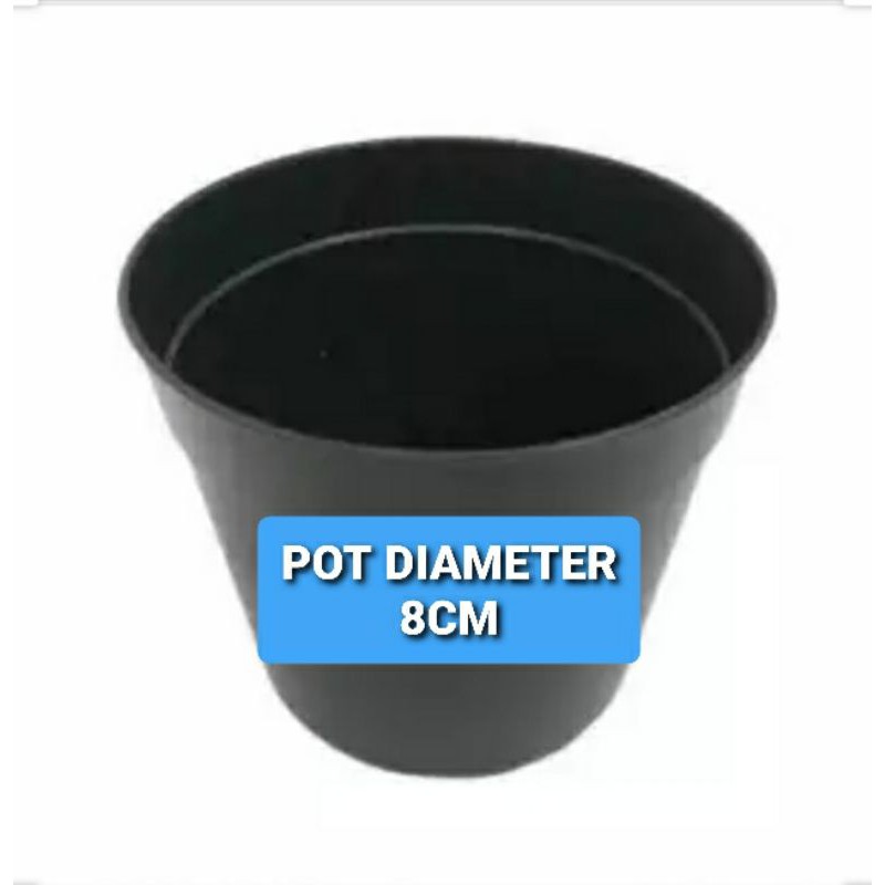Pot hitam plastik 8cm