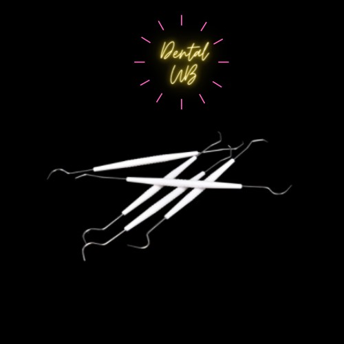 Dental UB - Sonde Behel / Alat pelepas karet behel / Alat bantu pasang behel