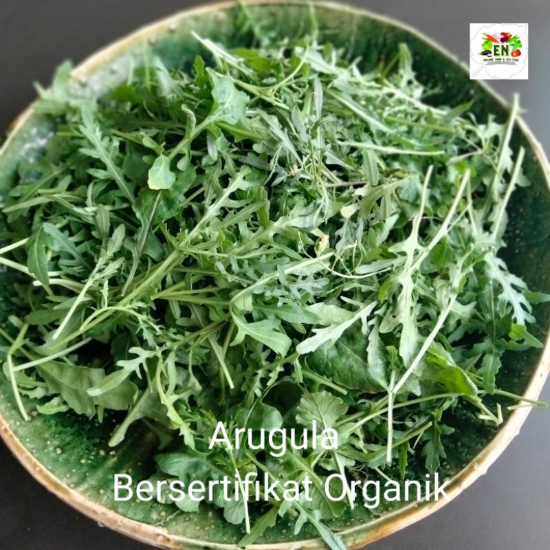 

Sayur Organik Arugula Rocket 100% Bersertifikat Organik Vegetable Murah Sehat Healthy Life Grosir Supermarket