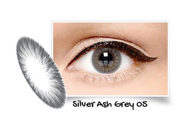 SOFTLENS ICE SILVER FREE LENSCASE