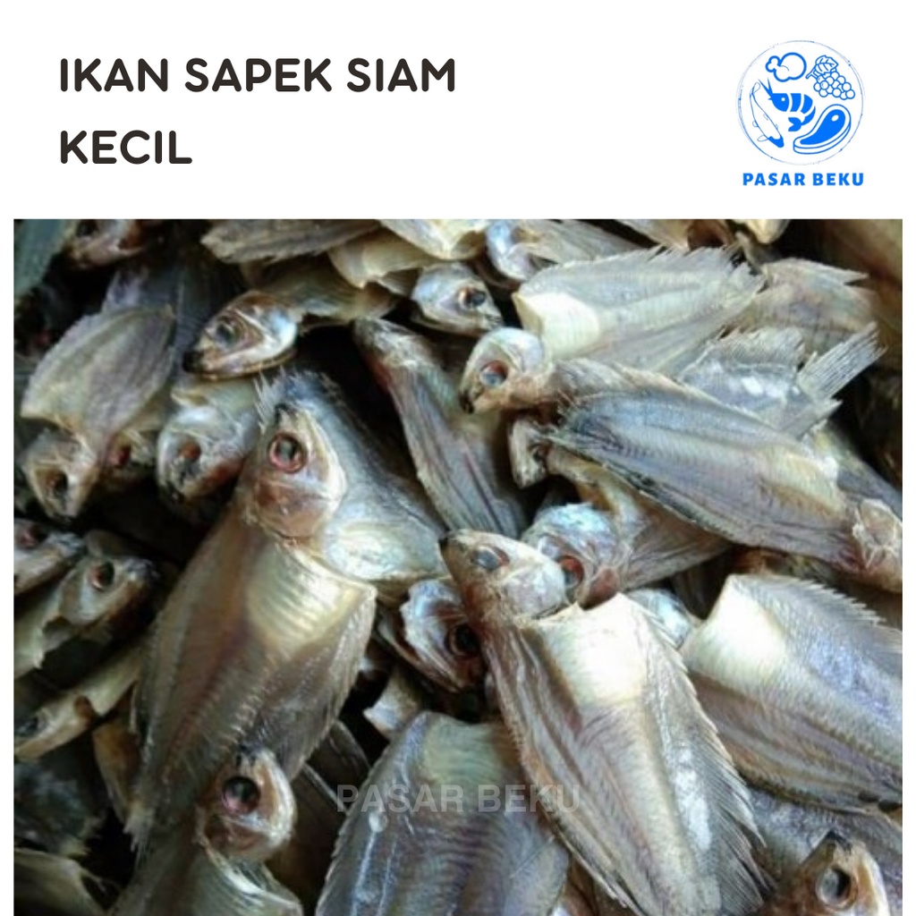 

Ikan Asin Sapek Siam 250 Gram Ikan Sepat Khas MInang Pasar Beku Padang