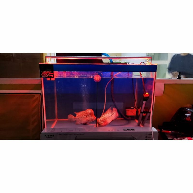 Lampu Led Aquarium 18Watt 20Watt / Lampu Aquarium