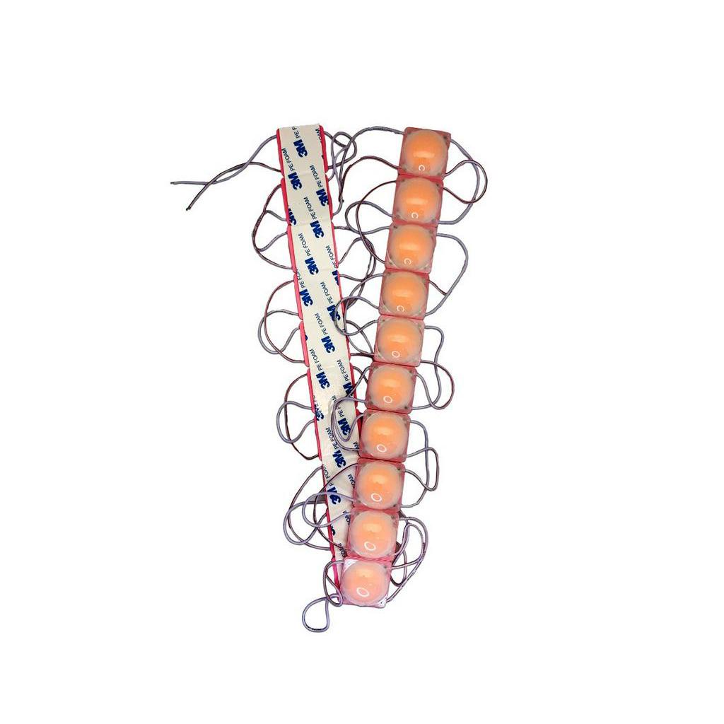 Lampu LED Module 1 mata COB 12 Volt I LED modul 12 Mata 12V