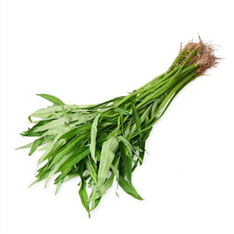

Kangkung