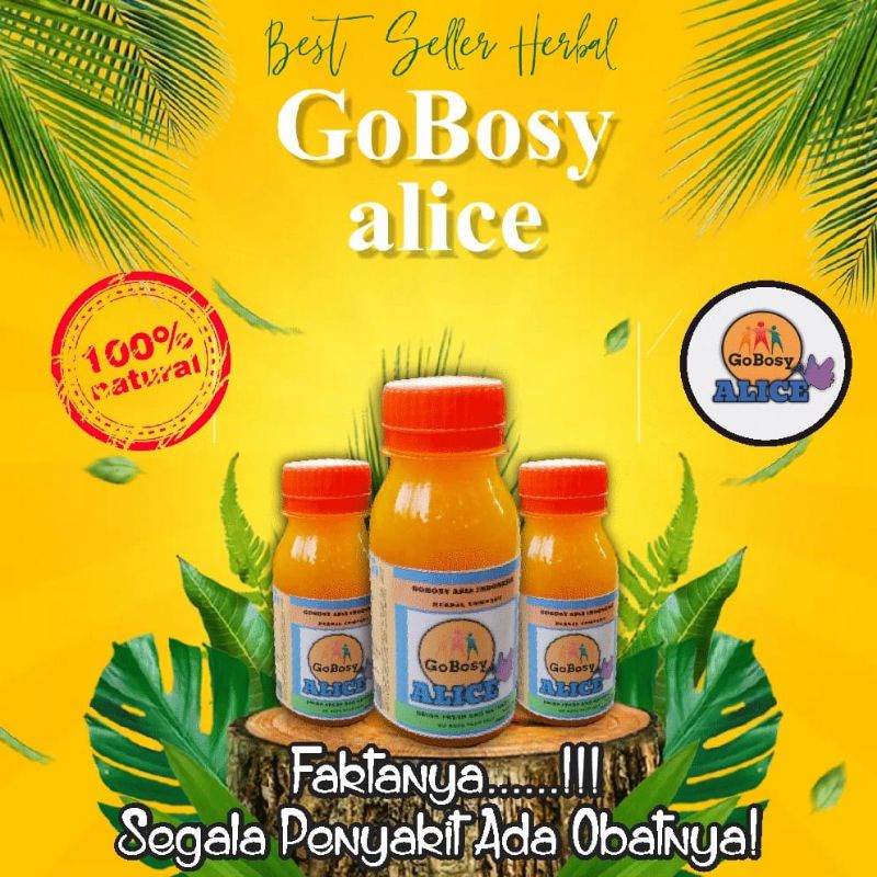 Obat Diabetes - Herbal Gobosy Alice