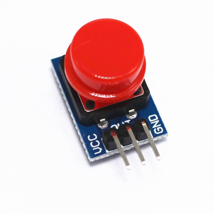 push button module