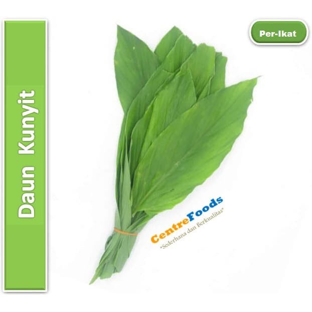 

Daun Kunyit - Daun Haldi Fresh | 1 Ikat [ Harga Per PCS ]