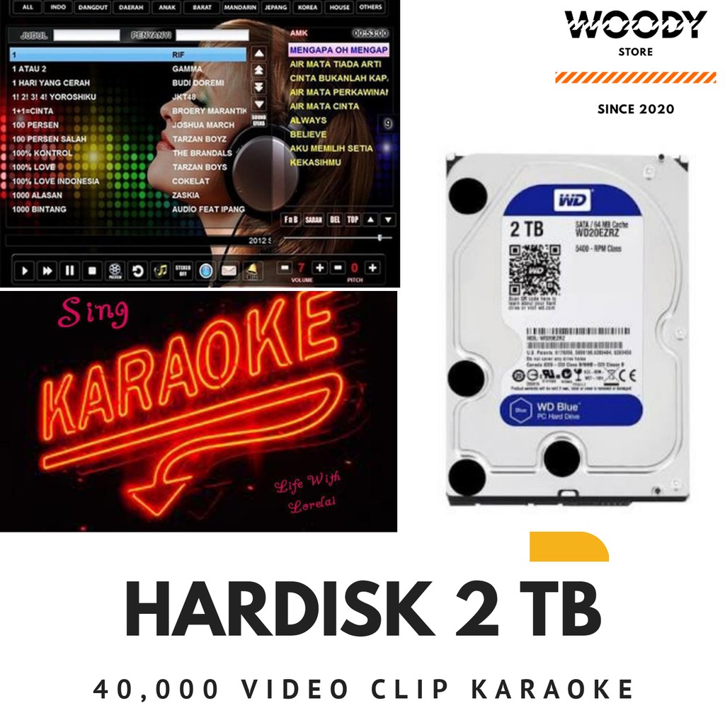 HARDISK KARAOKE 2 TB ISI 40000 Lagu Karaoke Video Clip Asli