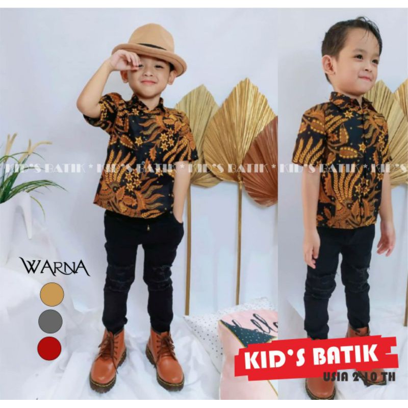 Kemeja Batik Anak Laki-laki Lengan Pendek Usia 1-13 Tahun Batik Premium Kualitas Super Harga Murah