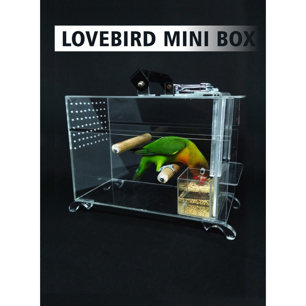 LOVEBIRD MINI BOX, SANGKAR LOVEBIRD, KANDANG LOVEBIRD, KANDANG UNTULAN LOVEBIRD