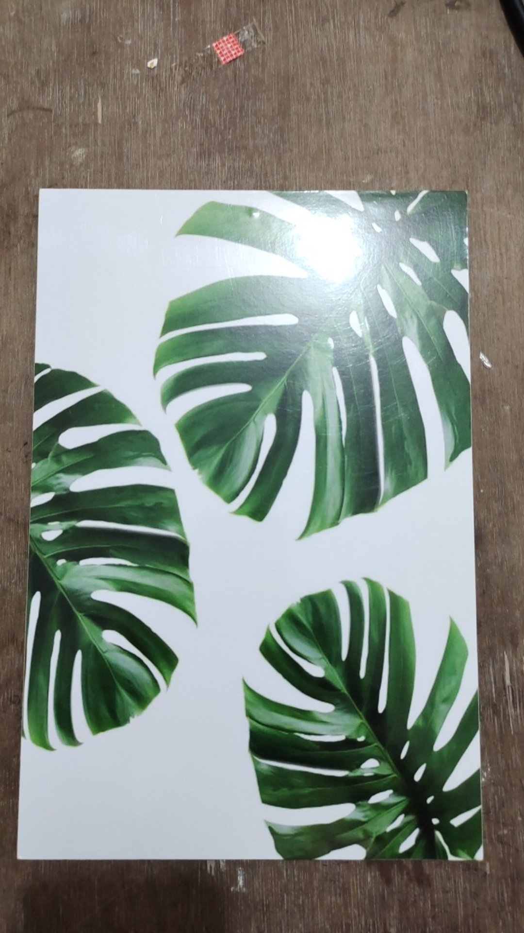 Fasahaya Hiasan Dinding Wall Decor Poster Kayu Leaf Dekorasi Rumah Le 01