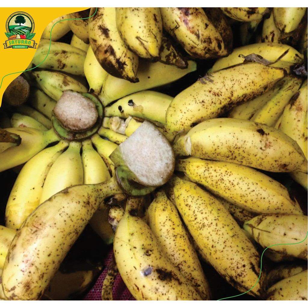 

promo PISANG MULI / KG