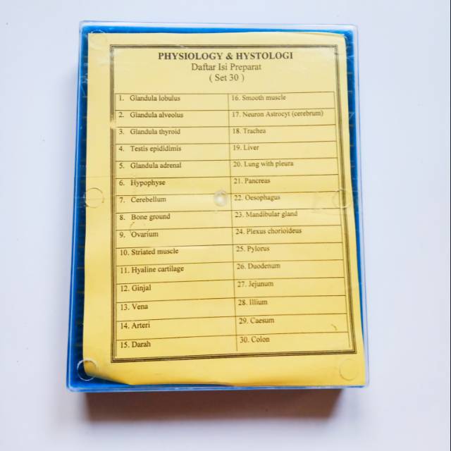 Preparat Hewan Sel Histologi / Histology / Hystologi dan Fisiologi / Physiology