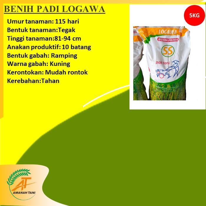 BENIH PADI LOGAWA
