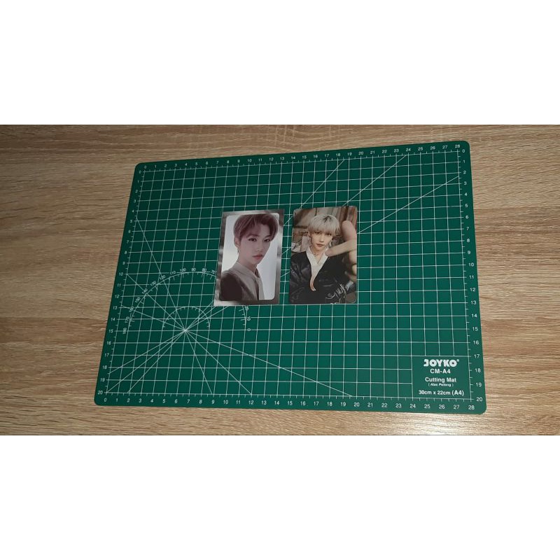 STRAY KIDS FELIX SILVER BORDER LEVANTER DS DOUBLE SIDE IN LIFE PHOTOCARD