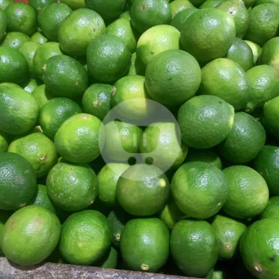 

Jeruk Nipis 500 g