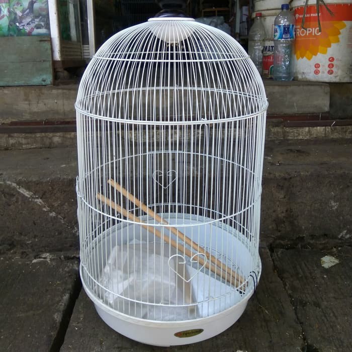 Unik Kandang Burung Sangkar Burung Lovebird Jalak Beo Nuri Ukuran