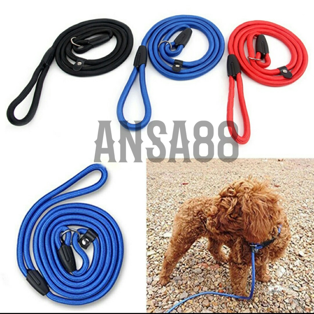 Rantai anjing nilon tali anjing puppy nylon pet rope pet leash pet chain dog training leash