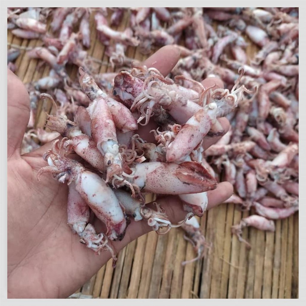 

IKAN ASIN CUMI 1KG