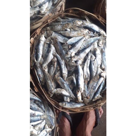 

ikan Rebus Maning 1 kg