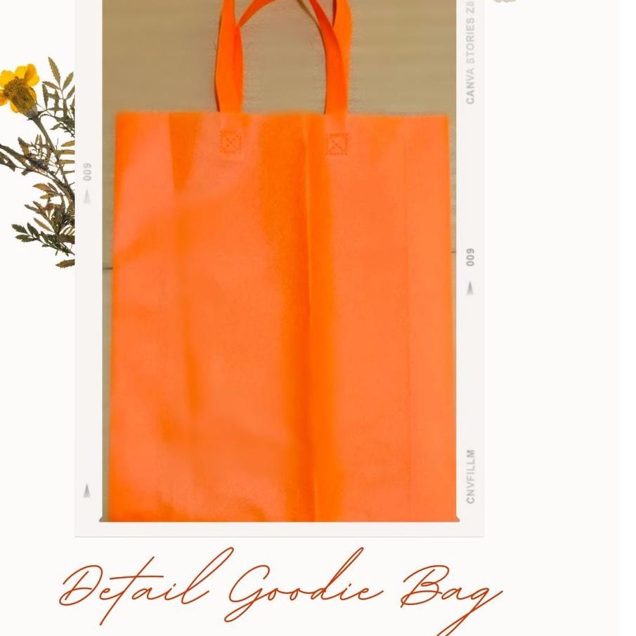 

❅ TAS KAIN SPUNBOND / GOODIE BAG / TAS PRESS TALI / TLS SIZE 30X40 ◄