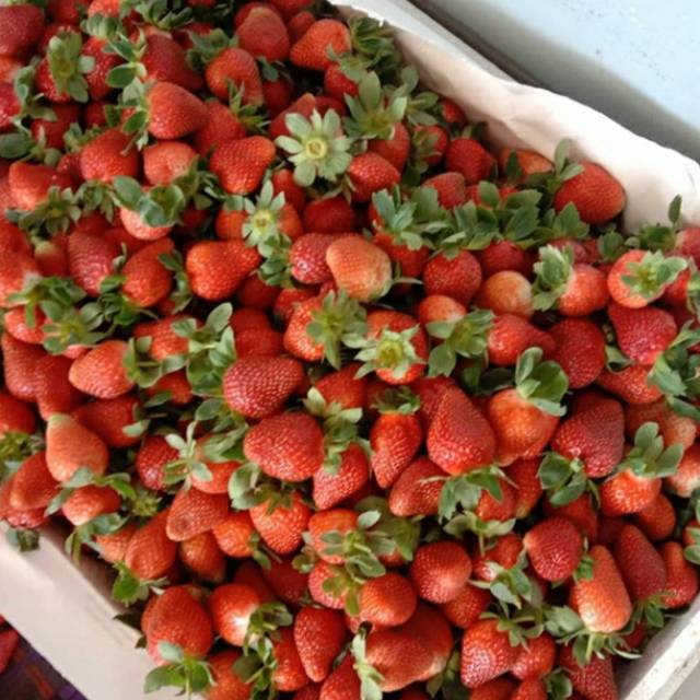 

Strawberry