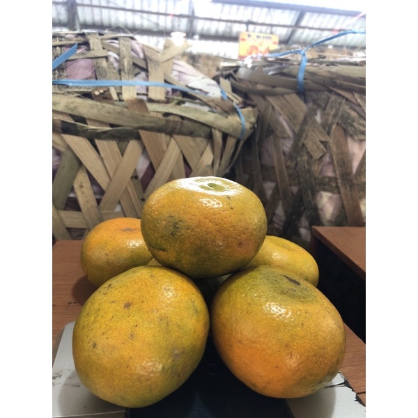 

jeruk medan uk super