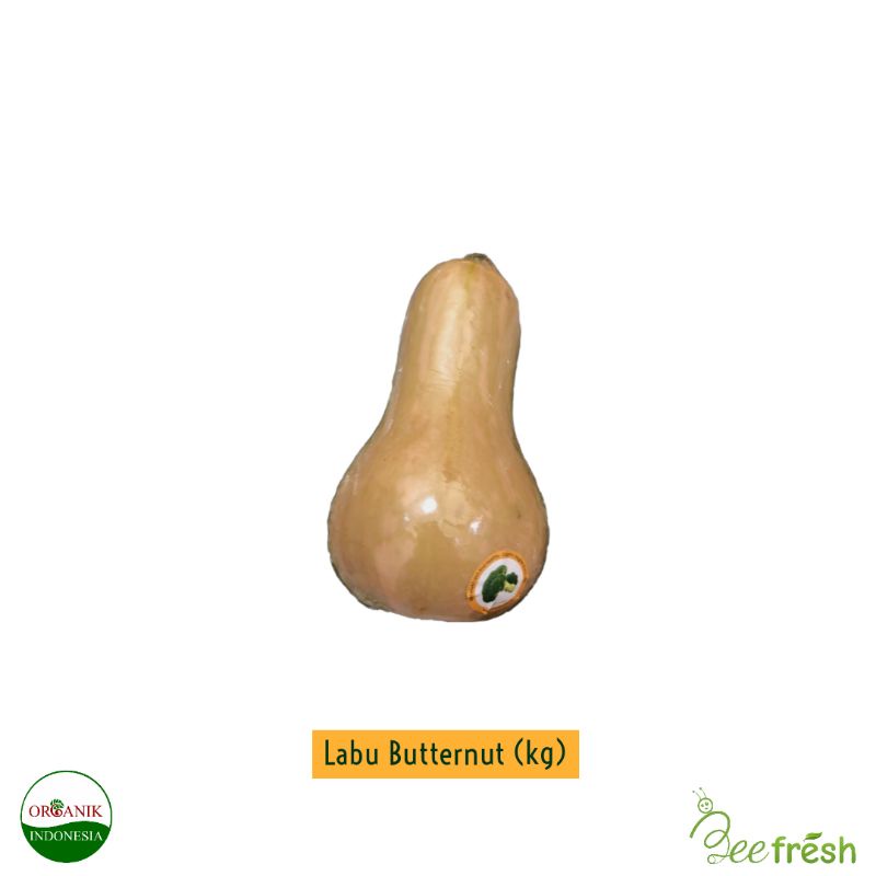 

Labu Butternut