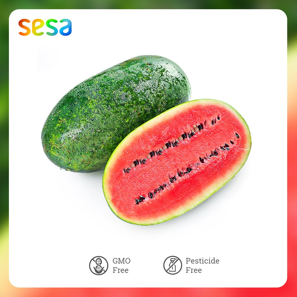 

Buah Semangka Biji /pcs