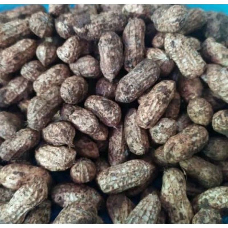 

Kacang Tanah Kulit Mentah 500gram