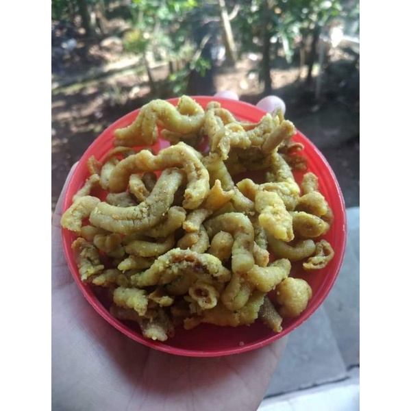 

USUS CRISPY VIRAL|USUS KRISPI AYAM ORI 250 GRAM