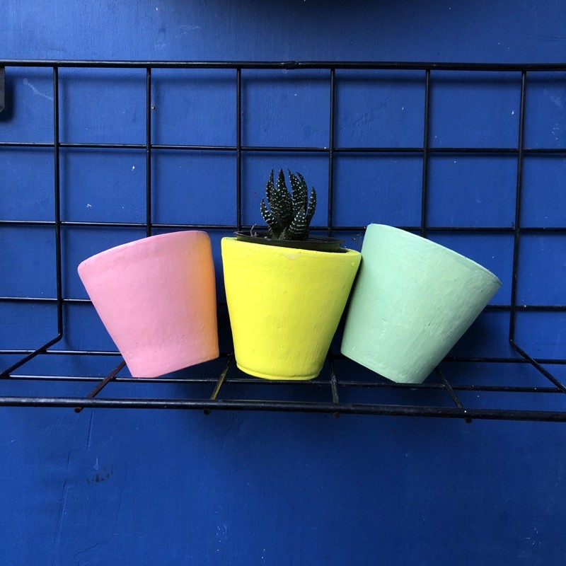 

Pot lukis polos warna-warni