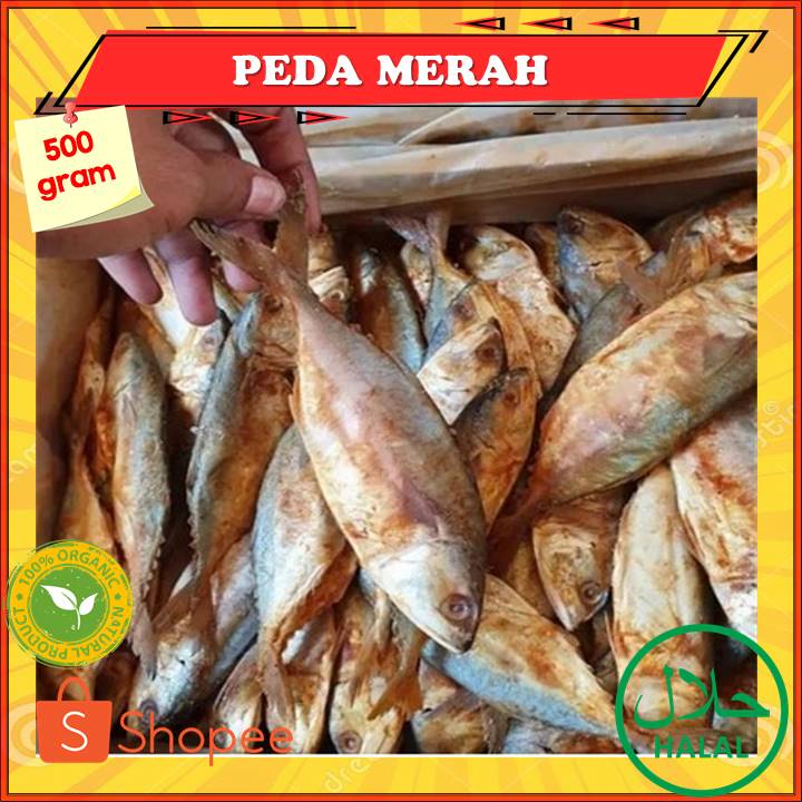 

Ikan Asin Peda Merah Kembung Besar Baceman Fresh 500 Gram