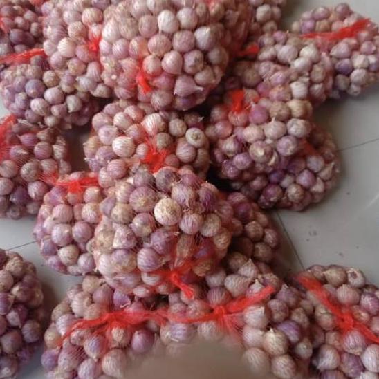 

PROMOSI !! 8.8 Bawang putih tunggal/Lanang impor kemasan 500gr [KODE 236]