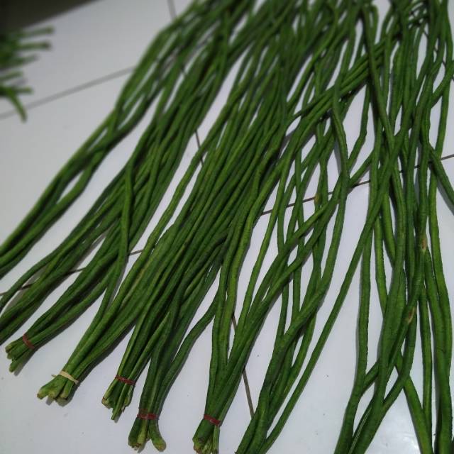

Kacang panjang