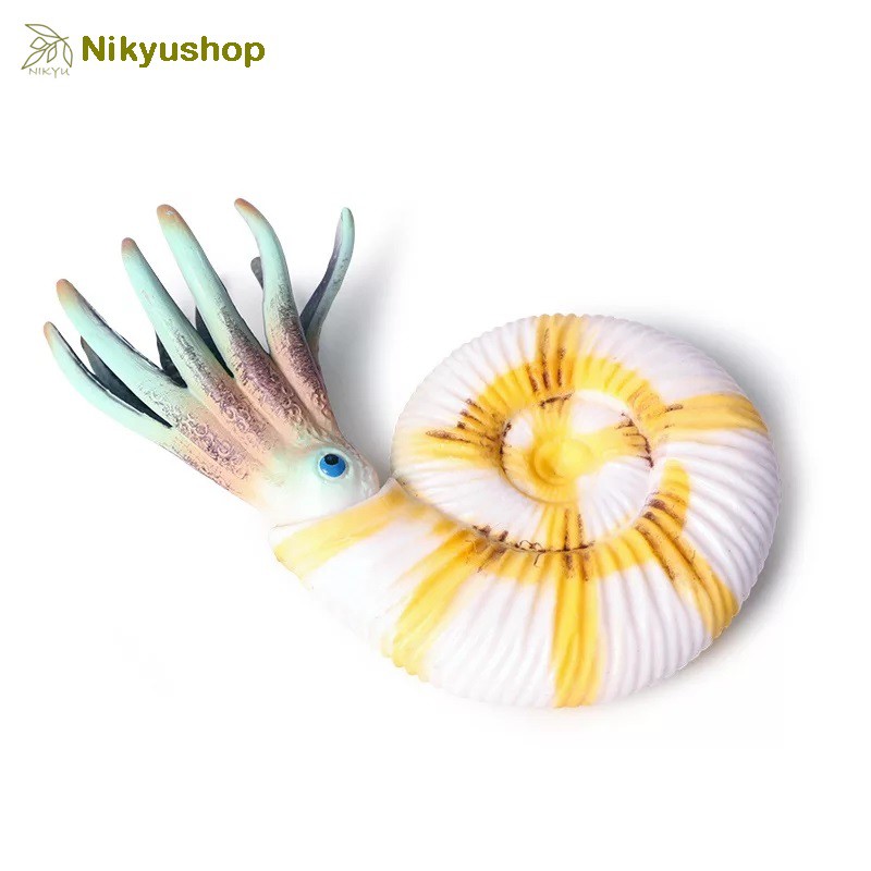 [Nikyushop] Mainan Edukasi Pajangan Hewan Purba Dinosaurus Fosil Ammonite Nautilus Animal Figure