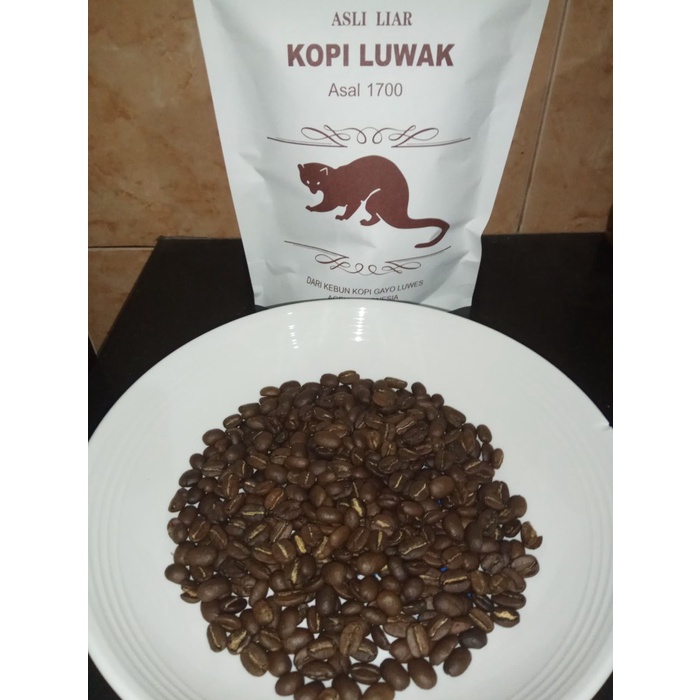 

⭐BISA COD⭐ Kopi Luwak Liar Gayo organik yang sudah diroasting dan bersertifikat