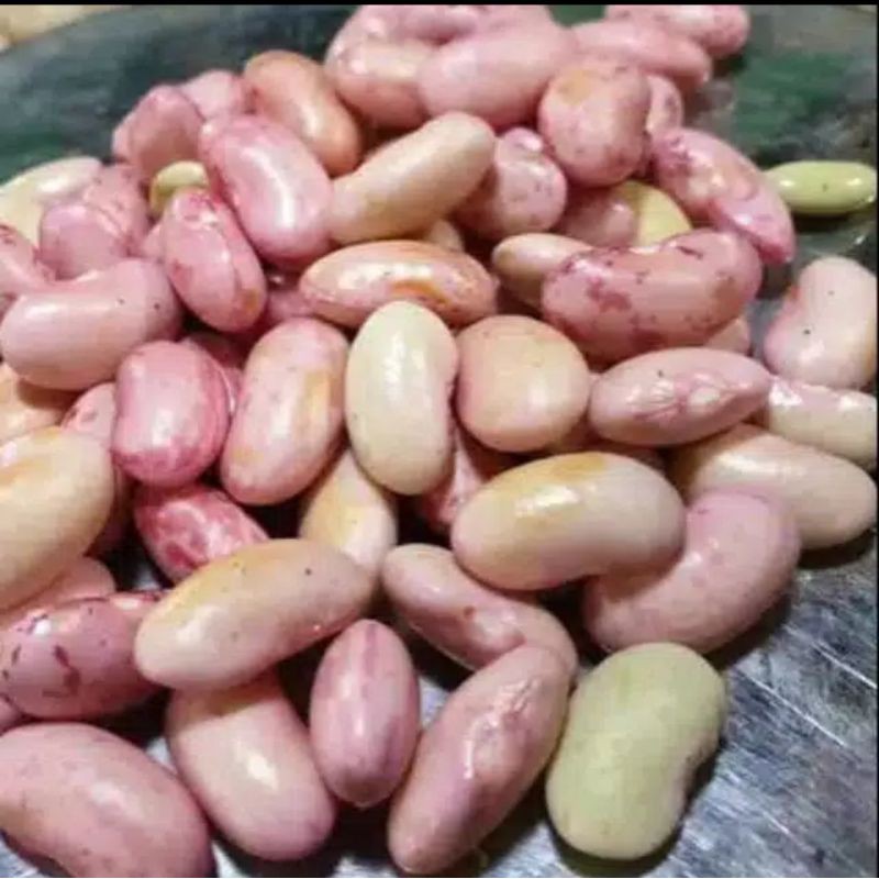 

kacang merah segar per 250 gr gaes