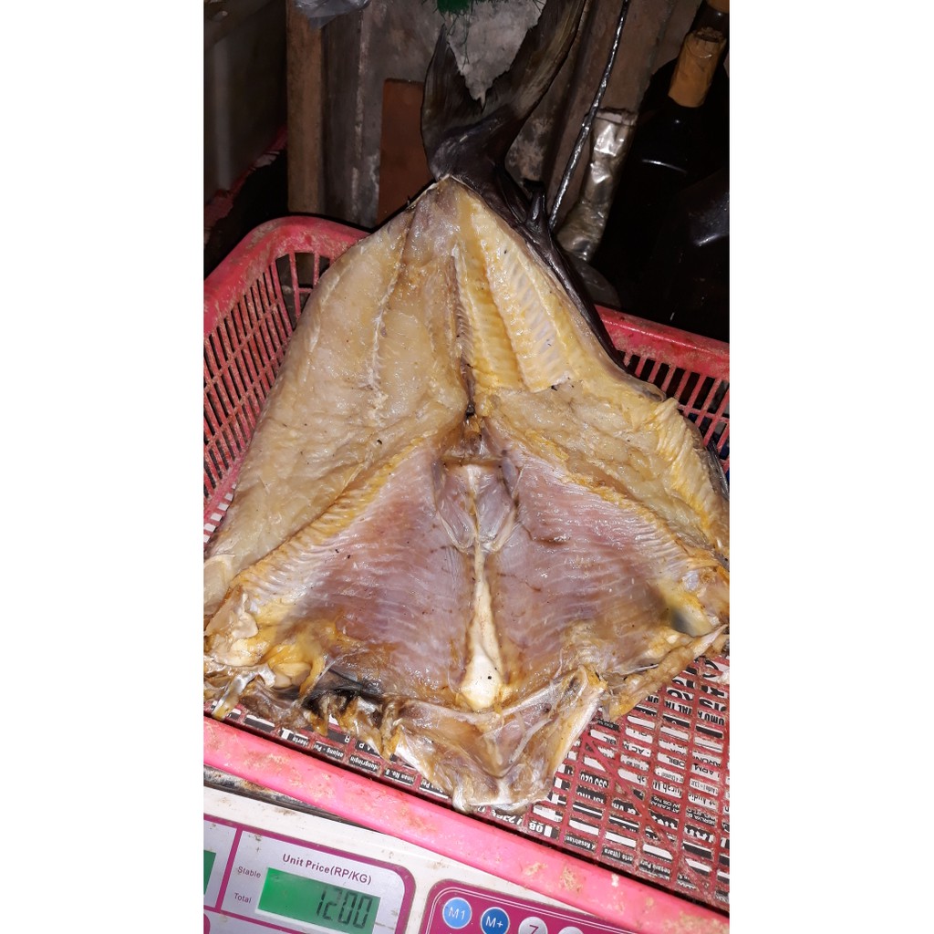 Ikan asin jambal roti asli pangandaran